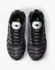 Кросівки Nike Air Max Plus TN "Black/Silver"