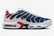 Кроссовки Nike Air Max TN Plus “PSG” White/Metallic Gold-Obsidian-Team Red FZ4776-100