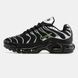 Кросівки Nike Air Max Plus TN "Black/Silver"