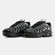 Кросівки Nike Air Max Plus TN "Black/Silver"