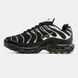Кросівки Nike Air Max Plus TN "Black/Silver"