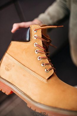 Жіночі черевики Timberland 6 inch Premium "Wheat Nubuck" Термо без хутра