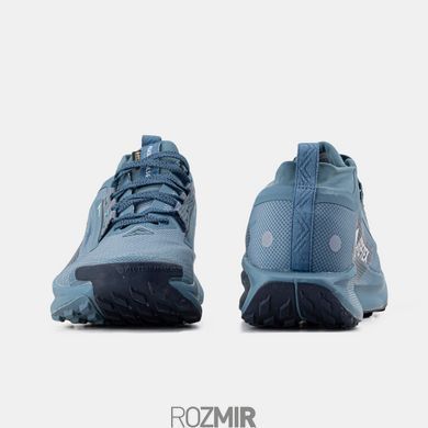 Мужские кроссовки Nike Pegasus Trail 5 GTX Gore-Tex Blue