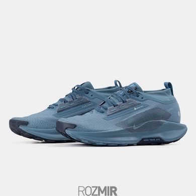 Мужские кроссовки Nike Pegasus Trail 5 GTX Gore-Tex Blue