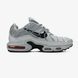 Кросівки Nike Air Max TN Plus Double Swoosh "Grey/Black"