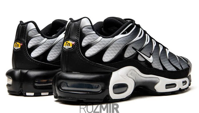 Мужские кроссовки Nike Air Max TN Plus "Black Silver White"