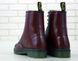Зимові жіночі черевики Dr. Martens 1460 "Burgundy" з хутром