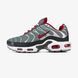 Кросівки Nike Air Max TN Plus "Grey/White-Red"