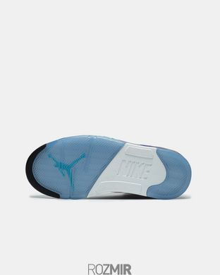 Кросівки Air Jordan 5 Grape (2025)