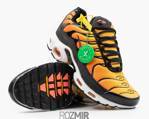Мужские кроссовки Nike Air Max Plus OG "Black / Pimento - Bright Ceramic - Resin"