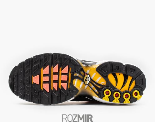 Мужские кроссовки Nike Air Max Plus OG "Black / Pimento - Bright Ceramic - Resin"