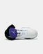 Кросівки Air Jordan 5 Grape (2025)