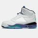 Кросівки Air Jordan 5 Grape (2025)