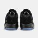 Кросівки Nike Air Jordan 5 Low Wings