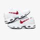 Кросівки Nike Air Max TN Plus Double Swoosh"White/Red"