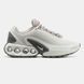 Женские кроссовки Nike Air Max Dn "White/Grey"