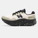 Кросівки New Balance Fresh Foam x District Vision "Beige/Black"