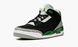 Кросівки Air Jordan 3 Retro "Pine Green"