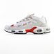 Кросівки Nike Air Max Terrascape Plus "White-Red"