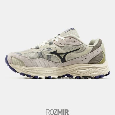 Мужские кроссовки Mizuno Racer ADV Beige
