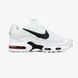 Кроссовки Nike Air Max TN Plus Double Swoosh "White/Black"