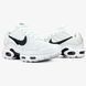 Кроссовки Nike Air Max TN Plus Double Swoosh "White/Black"