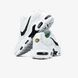 Кроссовки Nike Air Max TN Plus Double Swoosh "White/Black"