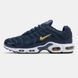 Мужские кроссовки Nike Air Max TN Plus "Midnight Navy/Gold"