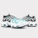 Чоловічі кросівки atmos x Nike Air Max TN Plus 'Hyper Jade'