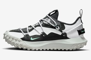 Кроссовки Nike ACG Mountain Fly Low SE "White/Black-Anthracite-Grey Fog"