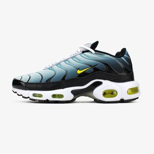 Кроссовки Nike Air Max Plus 'Bright Cactus'