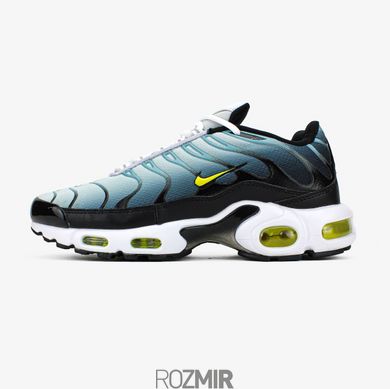 Кроссовки Nike Air Max Plus 'Bright Cactus'