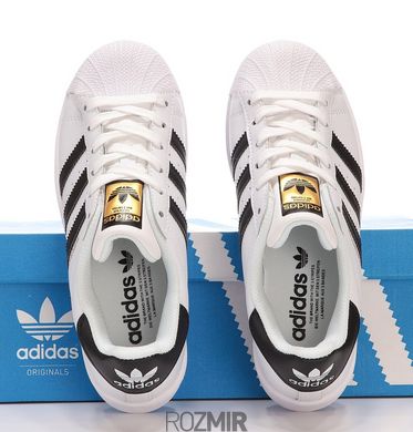 Кросівки adidas Superstar "White/Black-Gold"