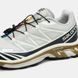 Кроссовки Salomon XT-6 Soft Ground Beige-Grey/Black