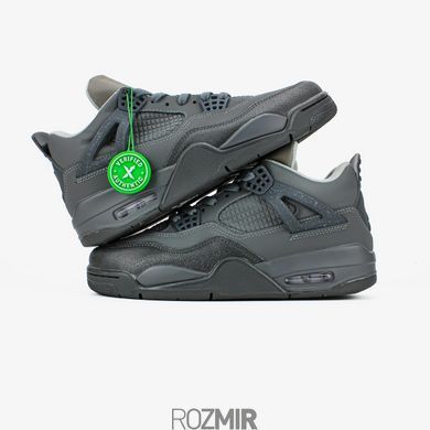 Кросівки Nike Air Jordan 4 Retro Se Wet "Cement"