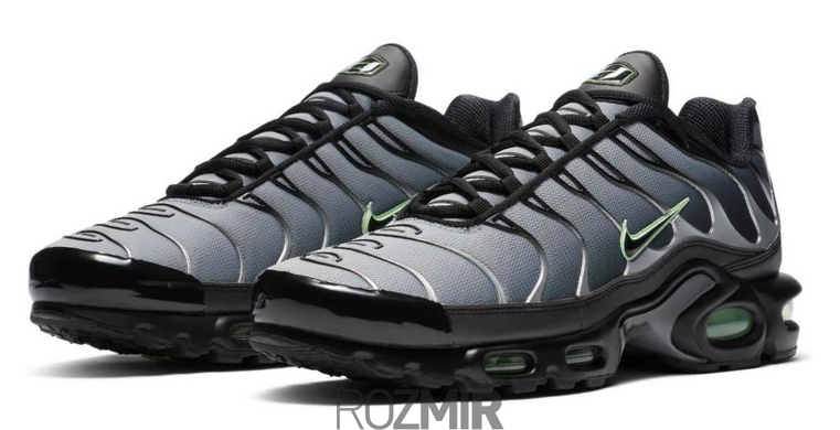 Чоловічі кросівки Nike Air Max TN Plus "Black/Particle Grey/Vapour Green" CZ7552-001