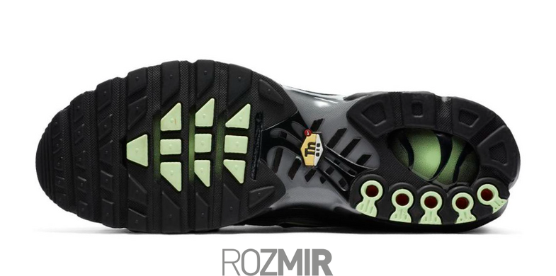 Мужские кроссовки Nike Air Max TN Plus "Black/Particle Grey/Vapour Green" CZ7552-001